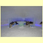 DSCN4640.JPG